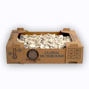 Cardboard Mushroom Boxes