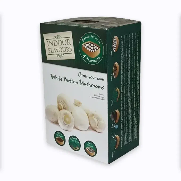 Cardboard-Mushroom-Boxes2-1