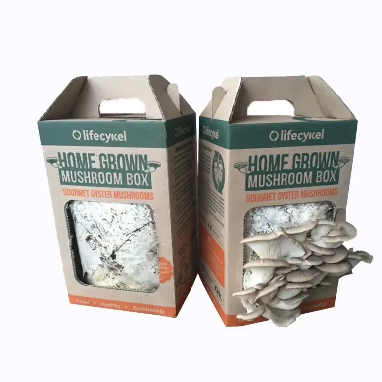 Cardboard-Mushroom-Boxes3-1