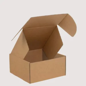Kraft Shipping Box